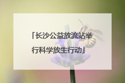 长沙公益放流站举行科学放生行动