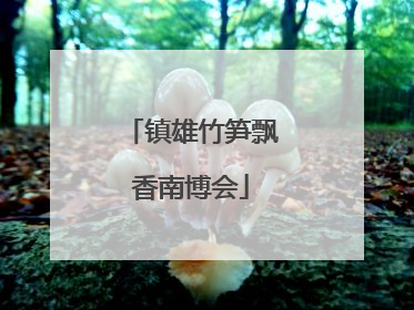 镇雄竹笋飘香南博会