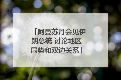 阿曼苏丹会见伊朗总统 讨论地区局势和双边关系