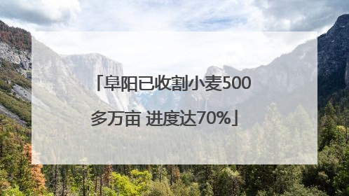 阜阳已收割小麦500多万亩 进度达70%