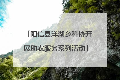阳信县洋湖乡科协开展助农服务系列活动
