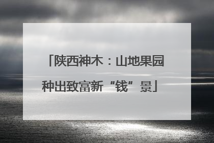 陕西神木：山地果园种出致富新“钱”景