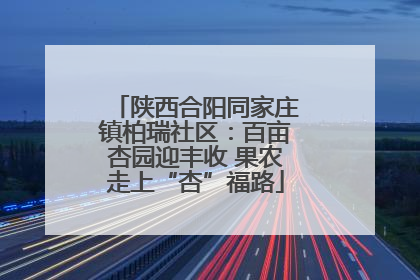 陕西合阳同家庄镇柏瑞社区：百亩杏园迎丰收 果农走上“杏”福路