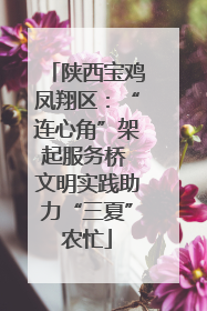 陕西宝鸡凤翔区：“连心角”架起服务桥 文明实践助力“三夏”农忙