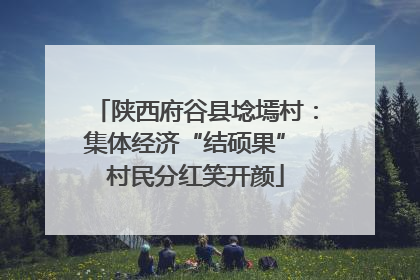 陕西府谷县埝墕村：集体经济“结硕果” 村民分红笑开颜