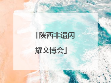 陕西非遗闪耀文博会