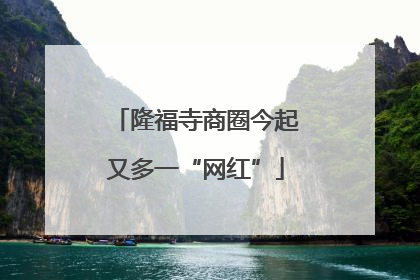 隆福寺商圈今起又多一“网红”