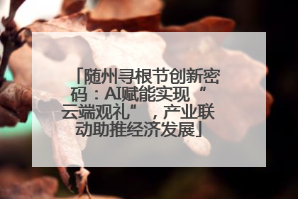 随州寻根节创新密码：AI赋能实现“云端观礼”，产业联动助推经济发展