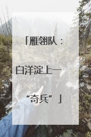 雁翎队：白洋淀上一“奇兵”