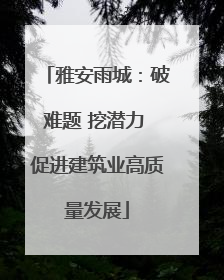 雅安雨城：破难题 挖潜力 促进建筑业高质量发展