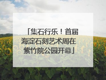 集石行乐！首届海淀石刻艺术周在紫竹院公园开幕