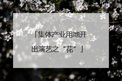 集体产业用地开出演艺之“花”