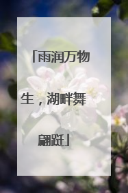 雨润万物生，湖畔舞翩跹