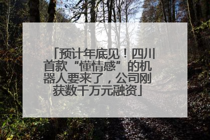 预计年底见！四川首款“懂情感”的机器人要来了，公司刚获数千万元融资