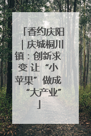 香约庆阳｜庆城桐川镇：创新求变 让“小苹果”做成“大产业”