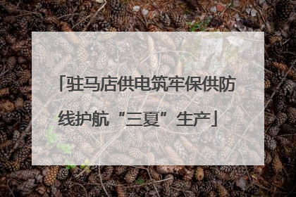 驻马店供电筑牢保供防线护航“三夏”生产