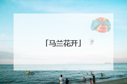 马兰花开