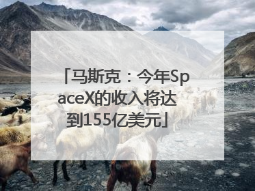 马斯克：今年SpaceX的收入将达到155亿美元