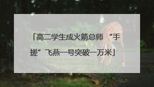 高二学生成火箭总师 “手搓”飞燕一号突破一万米