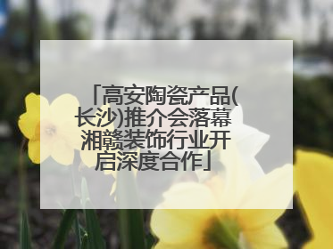 高安陶瓷产品(长沙)推介会落幕 湘赣装饰行业开启深度合作