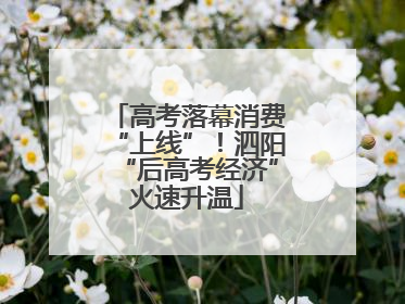 高考落幕消费“上线”！泗阳“后高考经济”火速升温