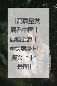 高质量发展看中国丨福稻金浪千重绘就乡村振兴“丰”景图
