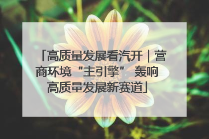 高质量发展看汽开｜营商环境“主引擎” 轰响高质量发展新赛道