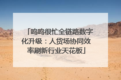 鸣鸣很忙全链路数字化升级：人货场协同效率刷新行业天花板