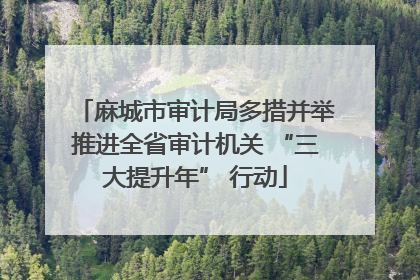 麻城市审计局多措并举推进全省审计机关 “三大提升年” 行动