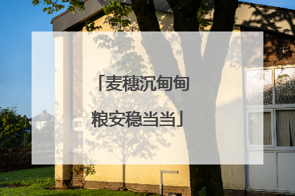 麦穗沉甸甸 粮安稳当当
