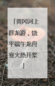 黄冈河上群龙游，饶平端午龙舟赛火热开桨