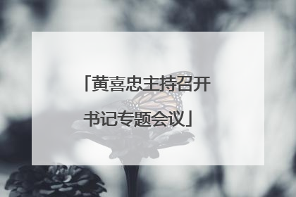 黄喜忠主持召开书记专题会议