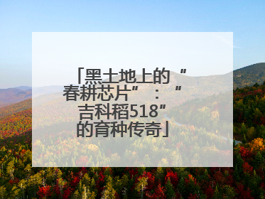 黑土地上的“春耕芯片”：“吉科稻518”的育种传奇