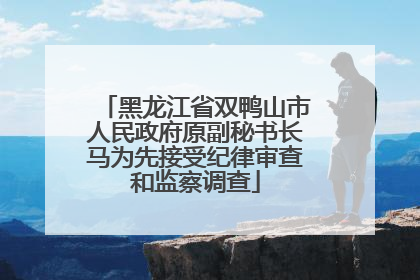 黑龙江省双鸭山市人民政府原副秘书长马为先接受纪律审查和监察调查