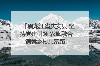 黑龙江省庆安县 坚持党建引领 农旅融合铺就乡村共富路