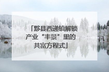 黟县西递镇解锁产业“丰景”里的共富方程式