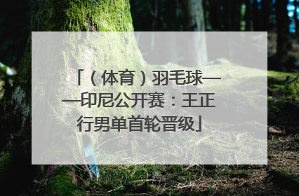 （体育）羽毛球——印尼公开赛：王正行男单首轮晋级