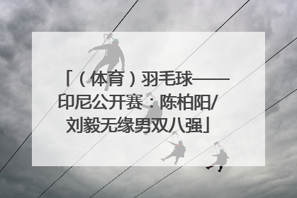 （体育）羽毛球——印尼公开赛：陈柏阳/刘毅无缘男双八强