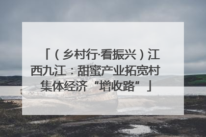 （乡村行·看振兴）江西九江：甜蜜产业拓宽村集体经济“增收路”