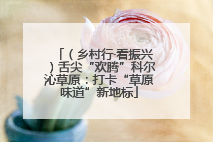 （乡村行·看振兴）舌尖“欢腾”科尔沁草原：打卡“草原味道”新地标