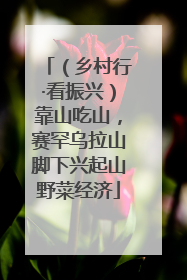 （乡村行·看振兴）靠山吃山，赛罕乌拉山脚下兴起山野菜经济
