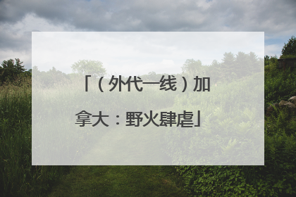 (外代一线)加拿大:野火肆虐