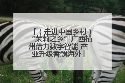 （走进中国乡村）“茉莉之乡”广西横州借力数字智能 产业升级香飘海外