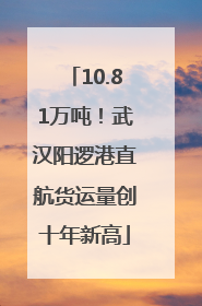 10.81万吨！武汉阳逻港直航货运量创十年新高
