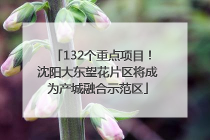 132个重点项目！沈阳大东望花片区将成为产城融合示范区