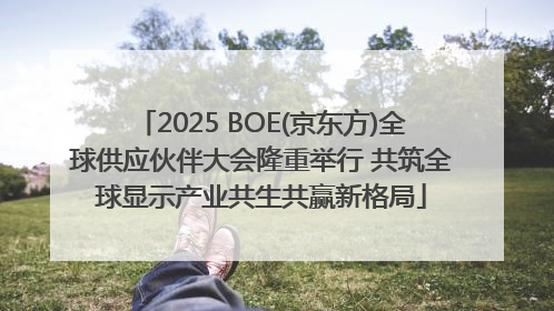 2025 BOE(京东方)全球供应伙伴大会隆重举行 共筑全球显示产业共生共赢新格局