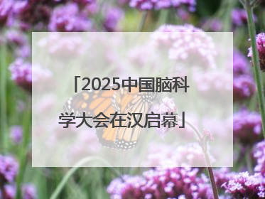 2025中国脑科学大会在汉启幕
