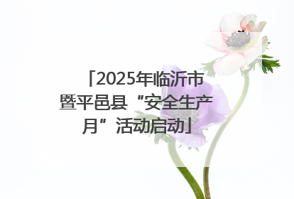 2025年临沂市暨平邑县“安全生产月”活动启动