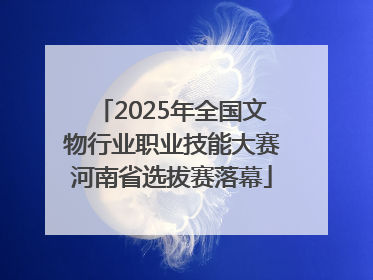 2025年全国文物行业职业技能大赛河南省选拔赛落幕