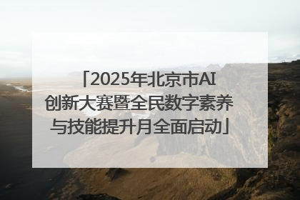 2025年北京市AI创新大赛暨全民数字素养与技能提升月全面启动